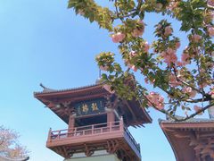 -南翔古镇