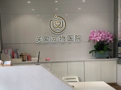 -关爱宠物医院·猫科中心·消化科(滨湖万达分院)
