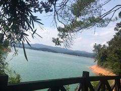 -广州市流溪河国家森林公园