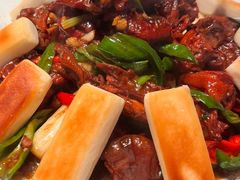 -鸽子侯·家宴·平价海鲜(市图书馆店)