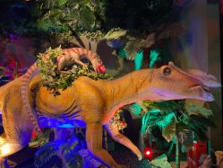 点击看大图 -恐龙探索乐园(磁器口店)