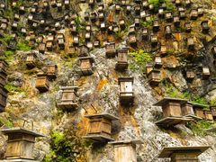 -神农架景区