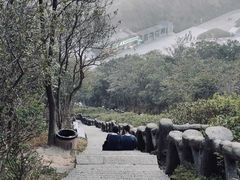 -梧桐山风景名胜区