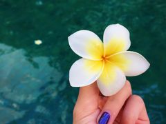 -三亚亚龙湾雅高美爵酒店