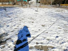 -望湖公园