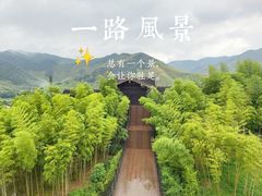 -大唐贡茶院
