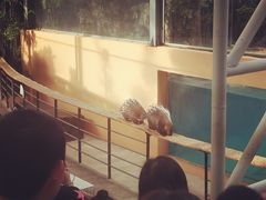 -清迈夜间动物园