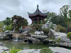 -东莞植物园