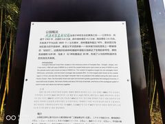 -黄海国家森林公园