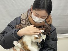 -美联众合动物医院·24h京西诊疗中心