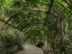 -红螺寺