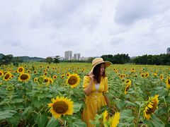 -光明小镇欢乐田园