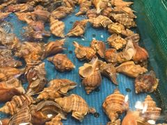 -初色海鲜自助(万丰路店)