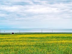 -青海湖国家重点风景名胜区