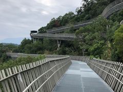 -福道