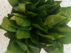 菠菜-牛豆吉(友谊花园店)