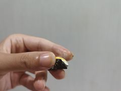 -酷巧·巧克力糖果店