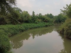 -白鹭湾湿地公园