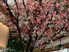 -蜜桃餐厅·伴山(湖滨商业街店)