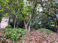 -静安公园(静安寺街道)
