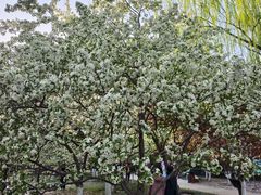 -元大都城垣遗址公园