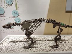 -国家自然博物馆