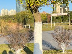 -艾溪湖湿地公园
