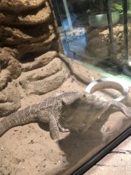 -酷嗒动物文化乐园(cutezoo西溪乐天城店)