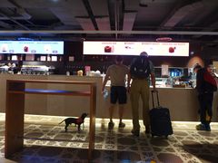 -米兰马尔彭萨国际机场