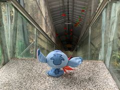 -丹山赤水风景名胜区