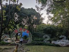 -金花茶公园