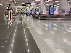 -青岛胶东国际机场