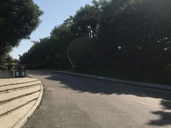 -凤岭儿童公园