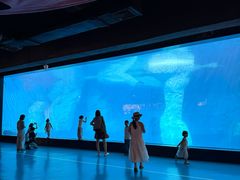 -海合安武汉极地海洋公园