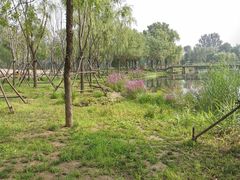 -东郊湿地公园
