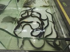 -沃尔玛(摩尔广场店)