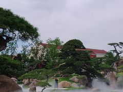 -罗红摄影艺术馆