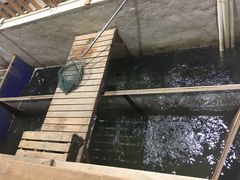 -丹江渔村(首都机场店)