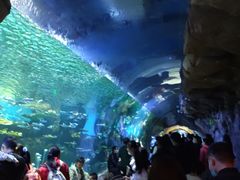 -华夏文旅海洋公园