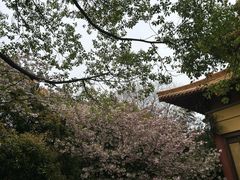 -南京市江宁方山