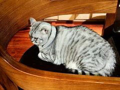 -H立方实景剧情密室(天河旗舰店)