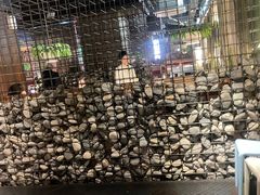 -天山醉美辣子鸡(文艺路店)