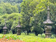 -灵隐飞来峰景区