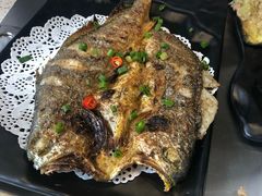 -九府羊·鲜羊火锅·烤串(新华路店)