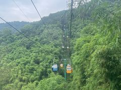 -缙云山景区