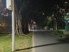-广州雕塑公园