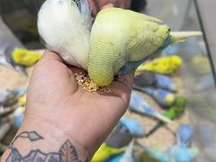 -三旗百汇商品城