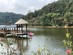 -伏羲大峡谷