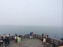 -龙头岩(Dragon Head Rock)