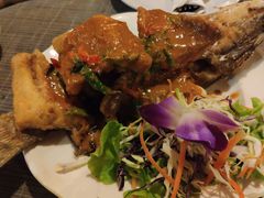 -Dash Teak House